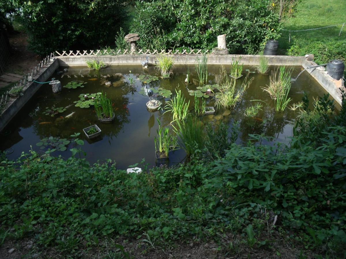 Vila Domaine De La Provenc'Ane Salernes Exteriér fotografie
